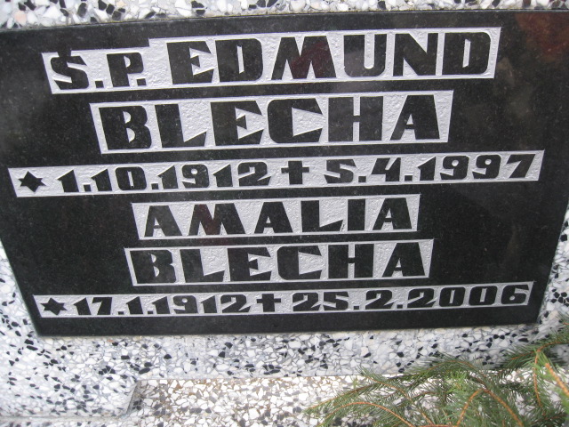 Edmund Blecha 1912 Świnna - Grobonet - Wyszukiwarka osób pochowanych