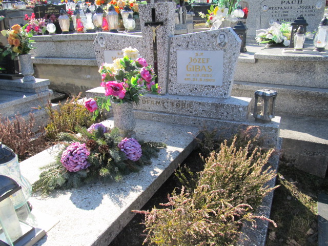 Grób Wanda Gibas